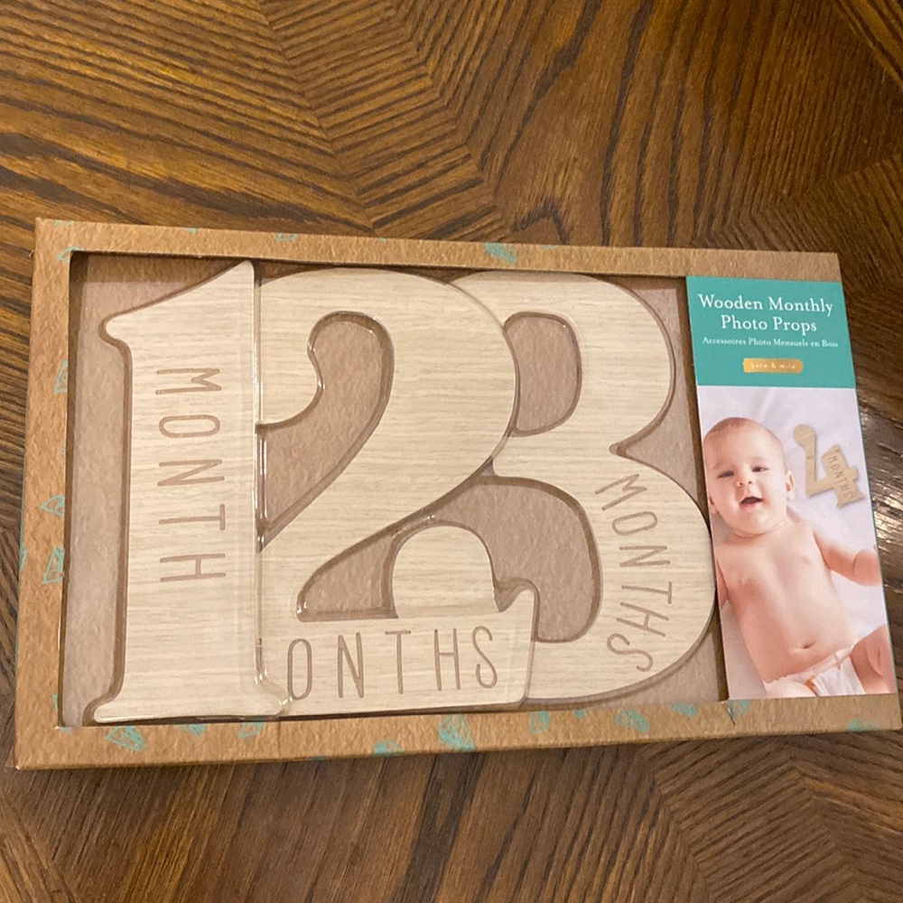 Wooden monthly photo props